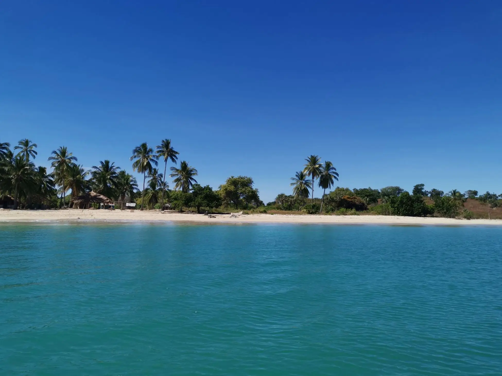 IMG_20240630_115500_resized_20240702_101540338