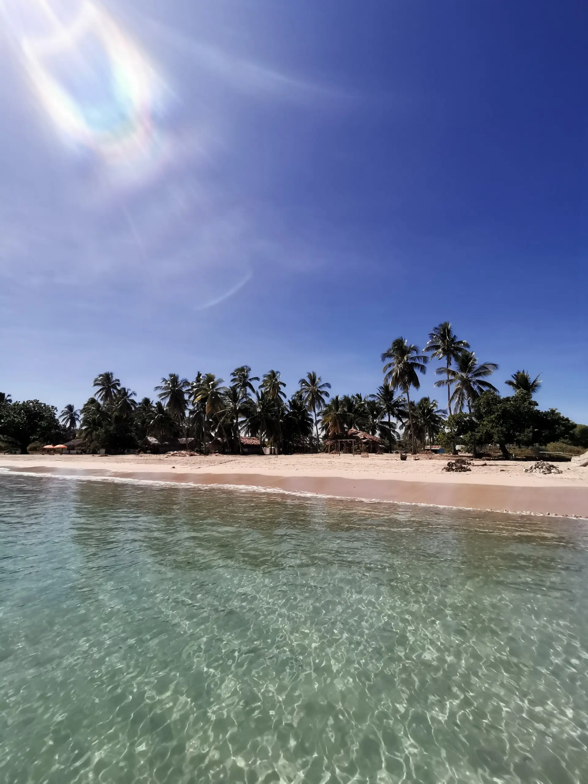 IMG_20240630_115551_resized_20240702_101539538