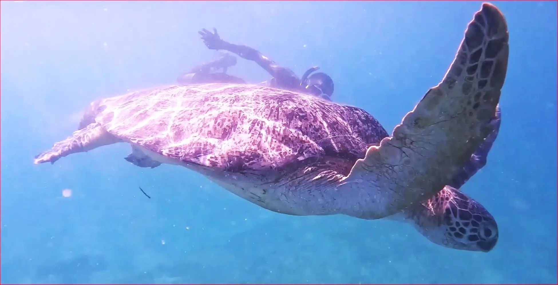 NOSY SAKATIA 1/2 DAY TOUR